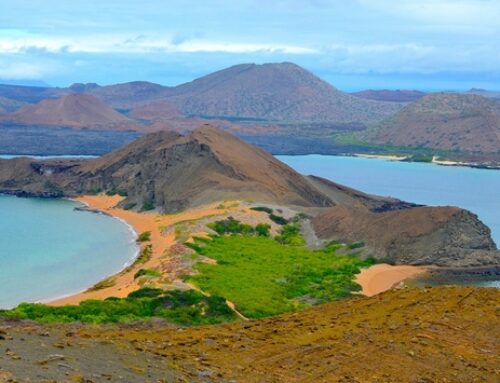 Plan Your Ultimate Galapagos Adventure: Discover the Ideal Vacation Itinerary