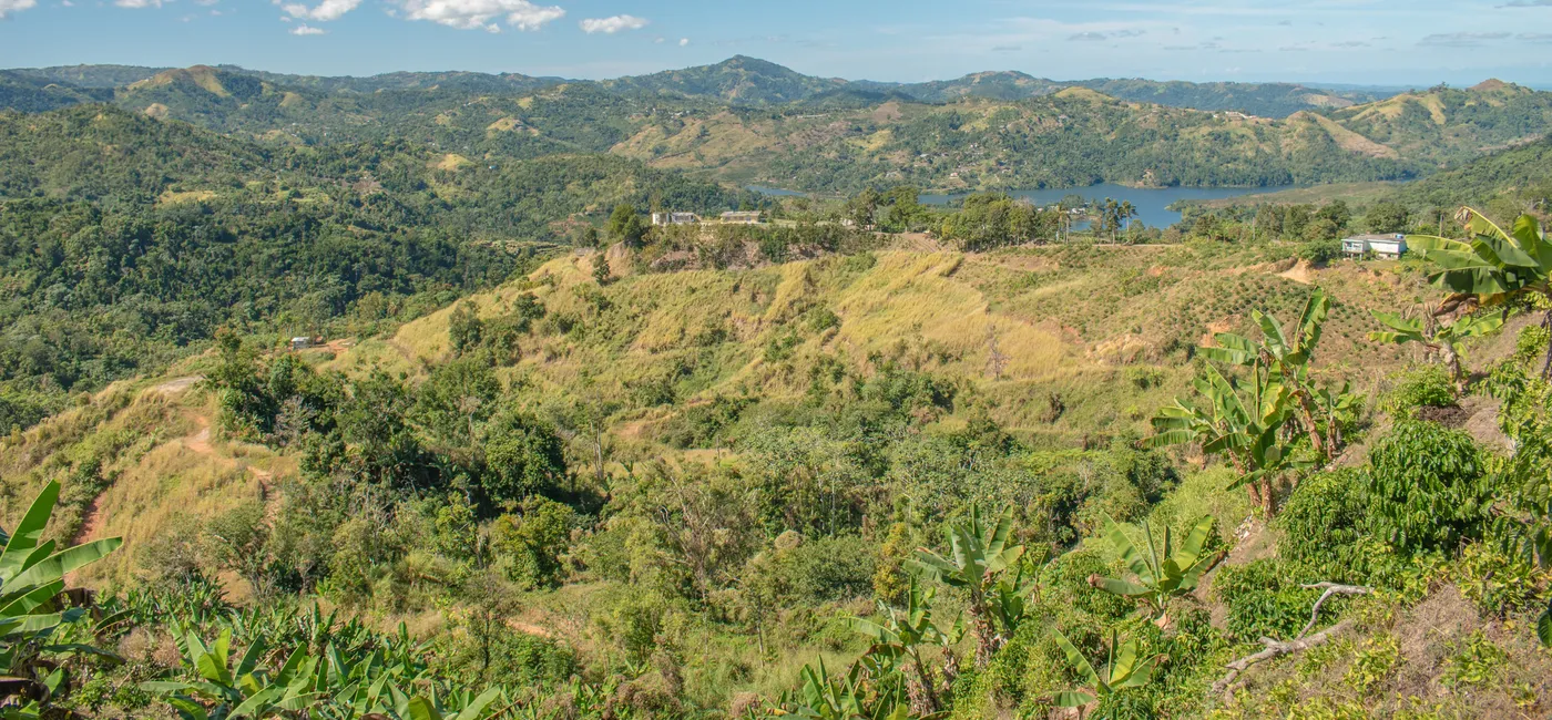 Puerto Rico Overhauls Pet Entry Travel Rules AirGuide Business Air